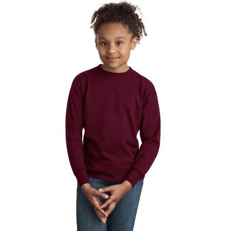 Hanes ®  - Youth Tagless ®  100% Cotton Long Sleeve T-Shirt. 5546